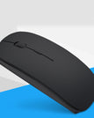 Black mouse