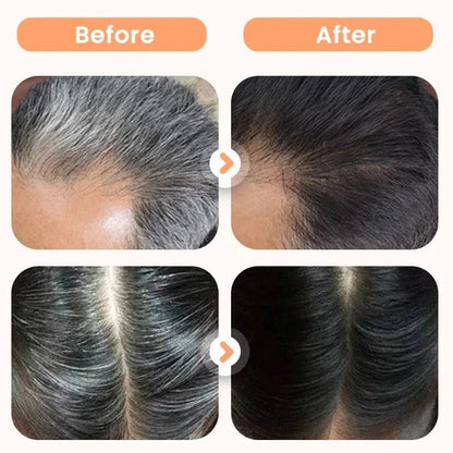 Plant Extract Hair Dye for Gray Hair 200 ml (Pack of 2) b1s18a-ff