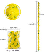 French Marigold No 32