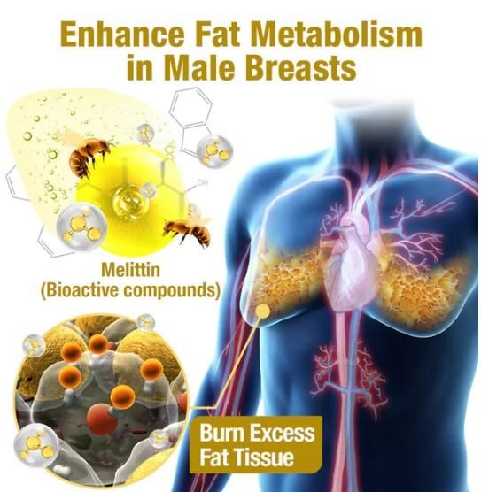 Bee venom Gynecomastia Heating Oil 15 ml (Pack of 2) - Nexivo