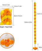 French Marigold No 48