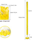 French Marigold No 43