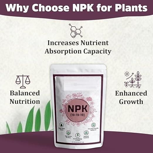 NPK Fertilizer For Plants 350gm - NexivoEdge