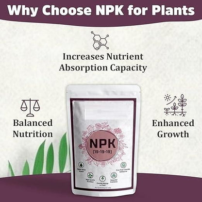 NPK Fertilizer For Plants 350gm - NexivoEdge