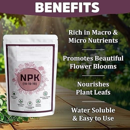 NPK Fertilizer For Plants 350gm - NexivoEdge
