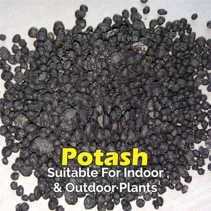 Organic Potash Fertilizer 350gm - NexivoEdge