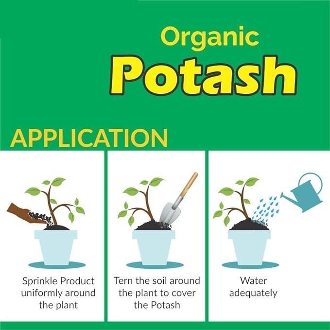 Organic Potash Fertilizer 350gm - NexivoEdge