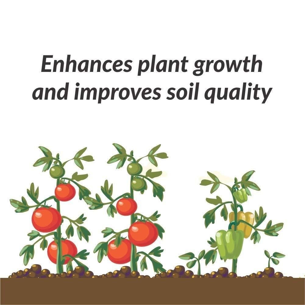 Organic Potash Fertilizer 350gm - NexivoEdge