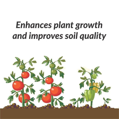 Organic Potash Fertilizer 350gm - NexivoEdge