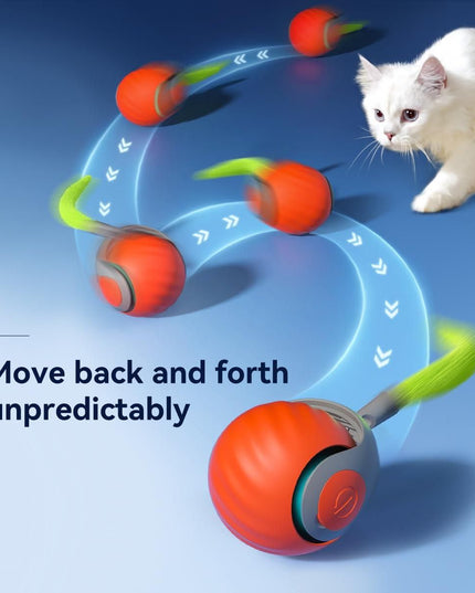 Rolling Ball Cat Toy - Nexivo