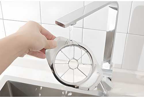 Stainless Steel Apple Fruit Cutter with 8 Blades - Nexivo